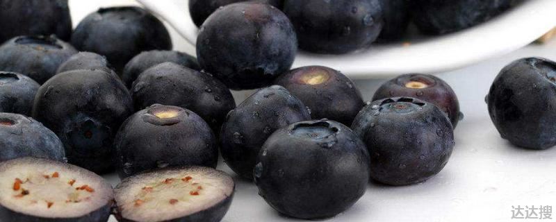 蓝莓与黑枸杞的区别在哪里？蓝莓与黑枸杞哪个含花青素高