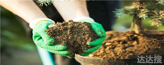 化肥执行标准有几种 肥料执行标准怎么查